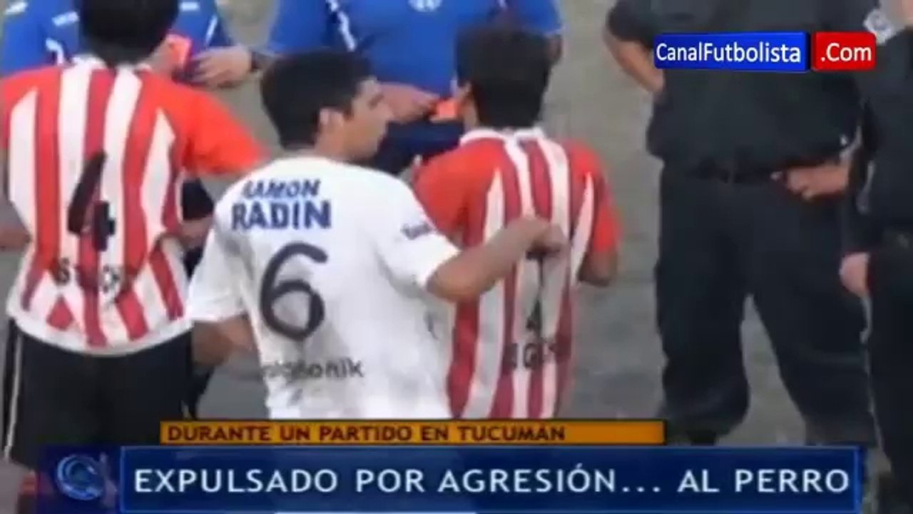 Insolite : un footballeur prend un carton rouge après avoir agressé un chien