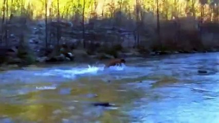 Пока хозяин разматывал удочку