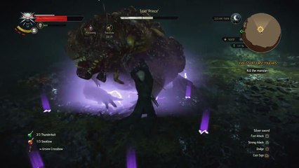 Witcher 3 - Heart Of Stone DLC  - Toad ''Prince'' and Ofieri Mage (Boss Guide)