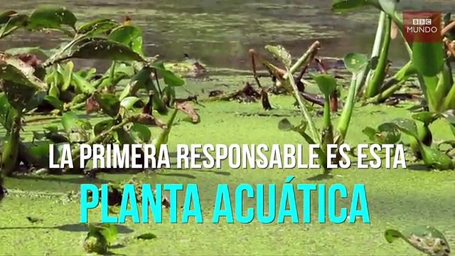 ¿Por qué el agua del grifo en Venezuela suele salir tan sucia?