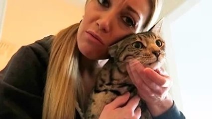 SOMETHING SERIOUS IS WRONG WITH BAMBU