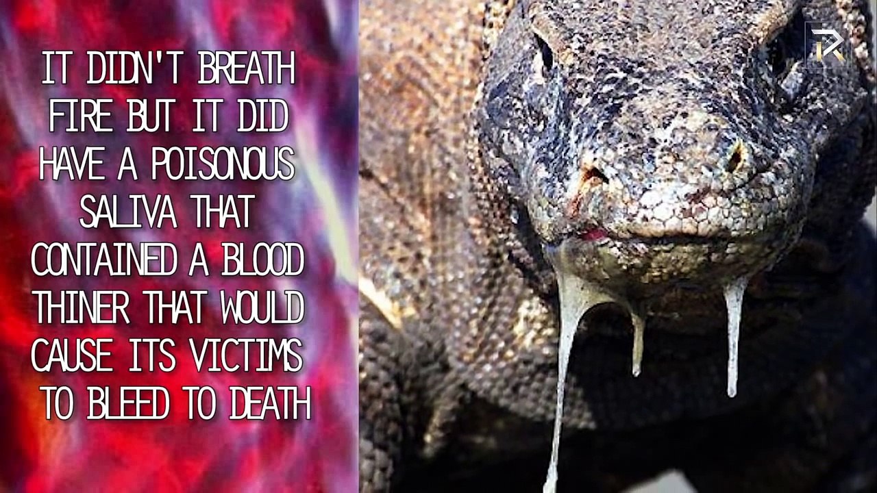 Mythical Creatures That Actually Existed