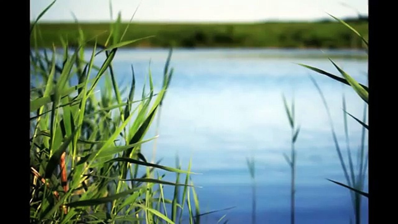 Вячеслав Малежи Любовь-река