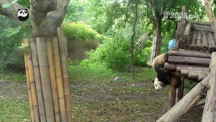 Hey camera, I know Disco!