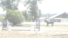 chauffement de chevaux avent concour de saut