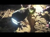 Cerreto Guidi (FI) - Cani bloccati in una fogna, salvati dai Vigili del Fuoco (04.02.16)