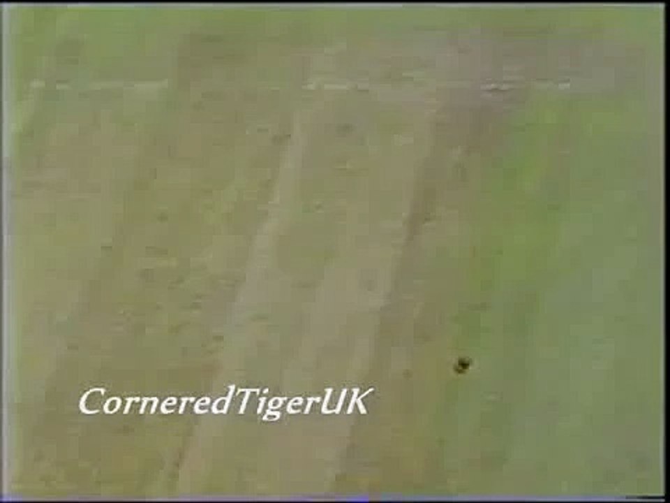 Magnificent Waqar Younis Stunning Six of Darren Gough 2001(1)