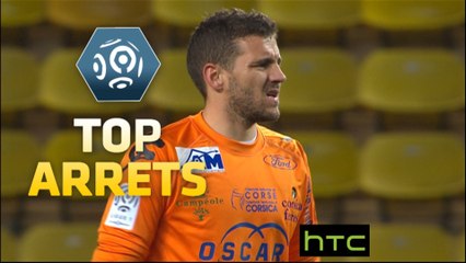 Top arrêts 24ème journée - Ligue 1 / 2015-16