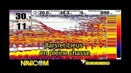 Navicom Captures d'écran Humminbird - Les sondeurs Humminbird 2012
