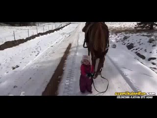 Atını Gezintiye Çıkaran Bebek