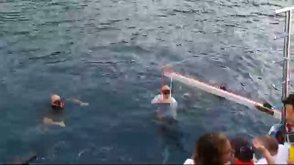 Şahika Ercümen rekor denemesinde fenalaştı!