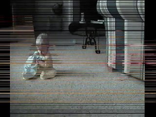 World's Most funny videos between Small Babies Kids and Dogs