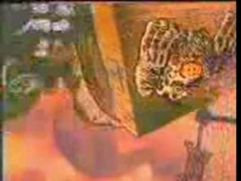 Tchi tchi ou la mort