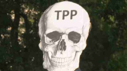 Organizaciones marchan por un "Chile mejor sin TPP"