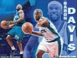 NBA Basketball-Baron Davis Mix
