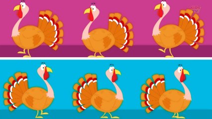 Gobble Gobble |Turkey Song | Thanksgiving Song