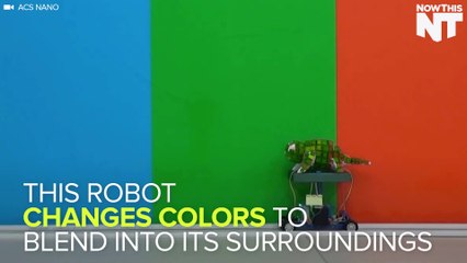 This Robot Changes Colors Like A Chameleon