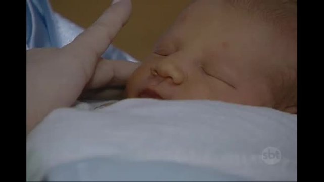 Especialista esclarece dúvidas sobre o zika vírus