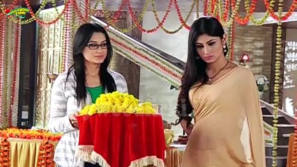 Naagin - Ritik & Shivanya To ROMANCE On Janmashtami Utsav - 5th Feb 2016