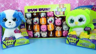 Cute Stacking Animals Plush Toys & Barbie, Spiderman & Disney Princess Frozen + Bright Eye