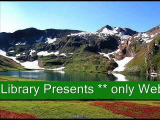 salute to martyrs of Kashmir May Allah kareem bless Kashmir with Azadi. ameen