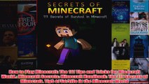 Download PDF  How to Play Minecraft The 111 Tips and Tricks for Minecraft World Minecraft Secrets FULL FREE