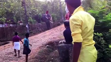 WhatsApp Funniest Indian Videos