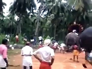 WhatsApp Funniest Indian Videos