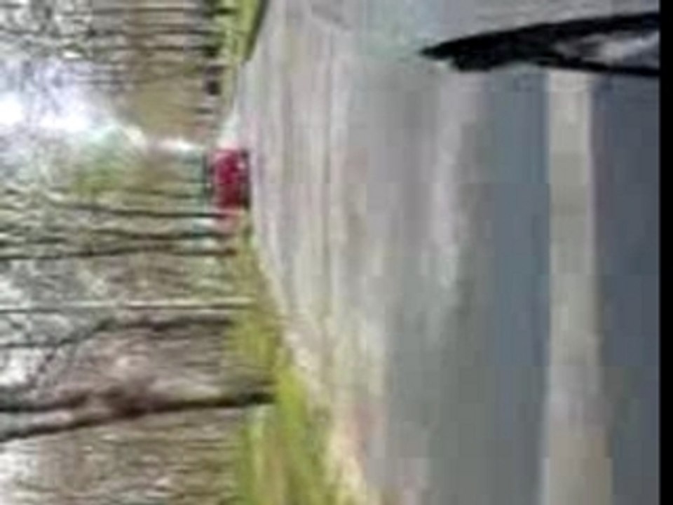 La Julius mobile