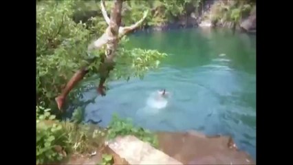 Extreme WhatsApp Funniest Videos