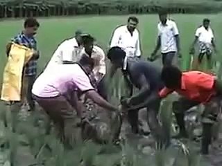 Extreme WhatsApp Funniest Videos