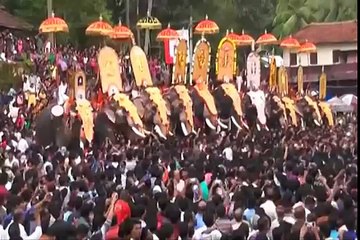 Extreme WhatsApp Funniest Videos