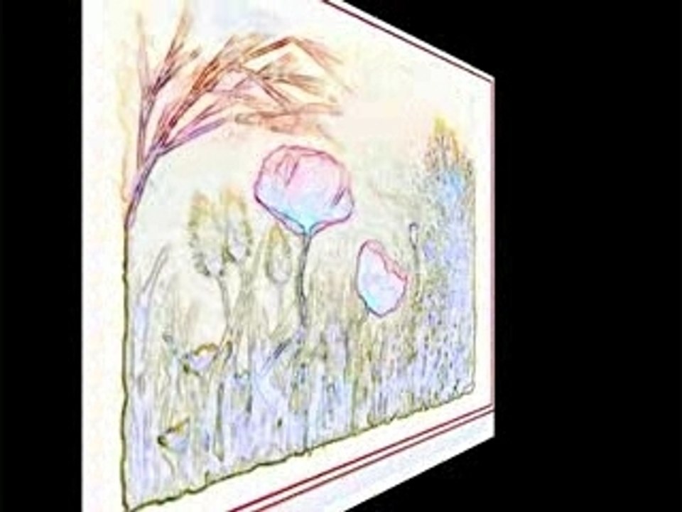 Cdmvideo_0003