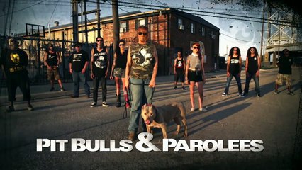 Heartbreak and Euphoria for Mama Dog and Her Pups