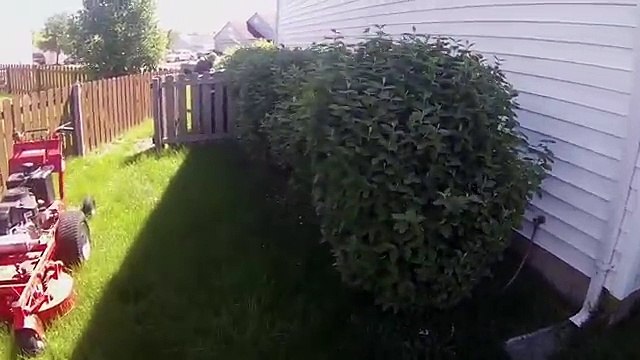 stump grinding browns plains