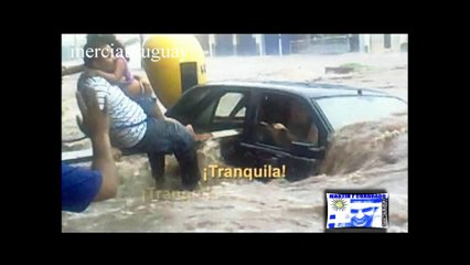 Hombre Arriesga Su Vida y Salva a Familia De Morir Ahogados