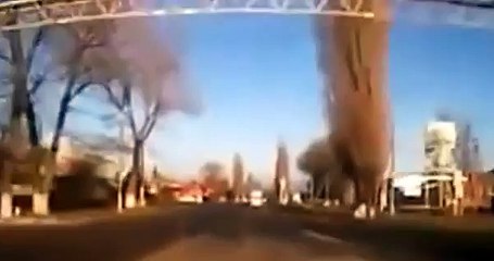 BEST Cow Tipping Level MASTER