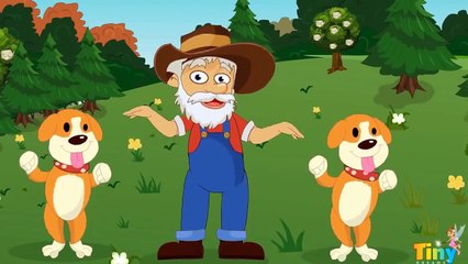 Finger Family -Kids Songs Collection - More Frozen Songs Baby Songs - Abc song for baby