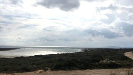 İsmail Akkol ve Fadik Adıyaman'ın Türkiye'ye Giriş Yaptığı Koy Görüntülendi