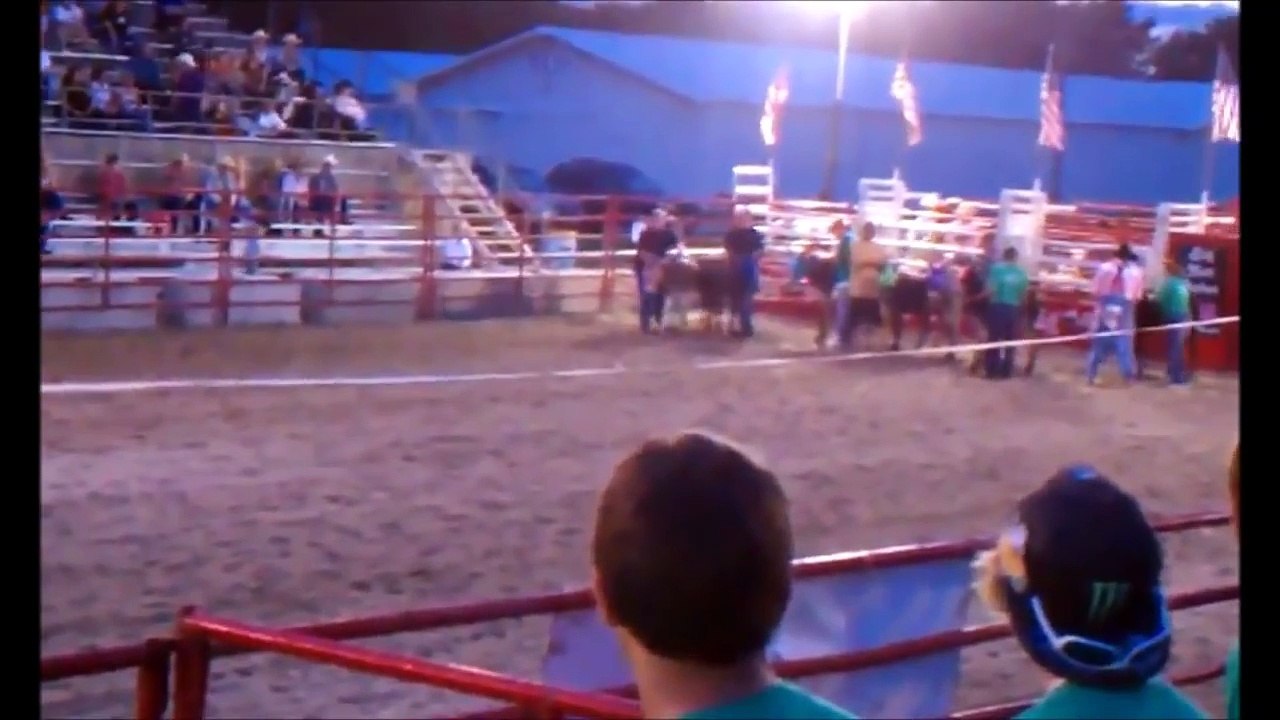 RIDE THAT DONKEY!