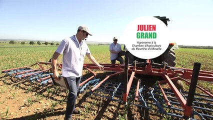 Innov'action - Une opération des cinq chambres d'agriculture de Lorraine