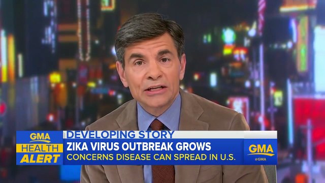 Latest Details on the Zika Virus Outbreak