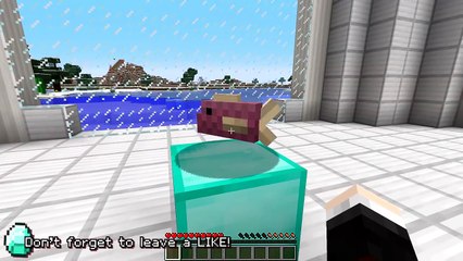 Minecraft   5 SECRETS ABOUT DR TRAYAURUS!!