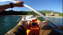 Pelikanı Sahiplenip Balık Tutmayı Öğreten Adam Yok Böyle Bir
