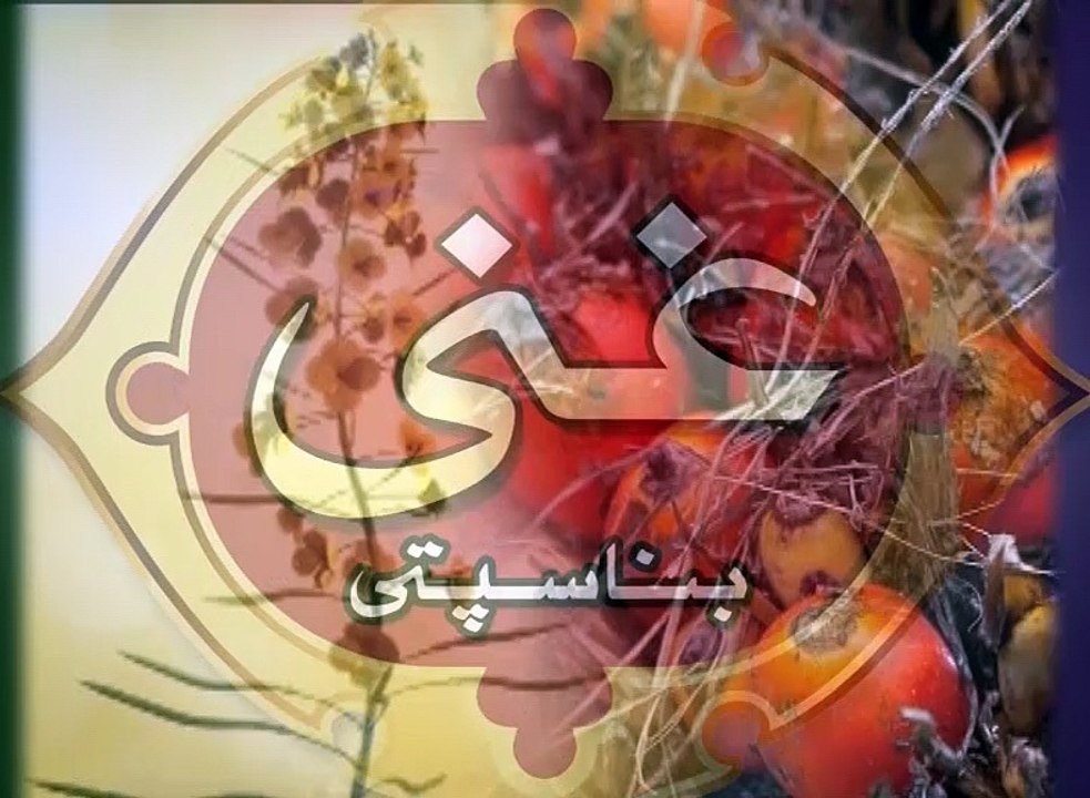 Ghani-TVC