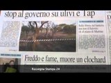 Rassegna Stampa 5 Febbraio 2016 - leccenews24.it -