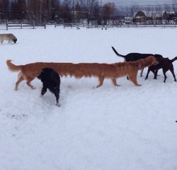 10 Panorama Fails Make The World Seem Like A Horrifying Place