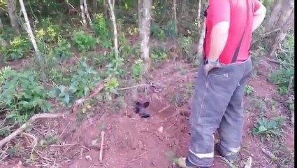 Salvato Cane Sepolto VIVO