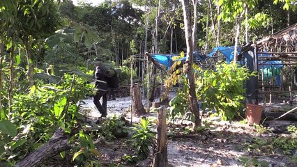 Beaches from illegal mining scar Colombias Amazon
