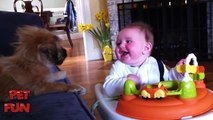 Funny videos of Baby laughing at dogs and cats compilation 2015